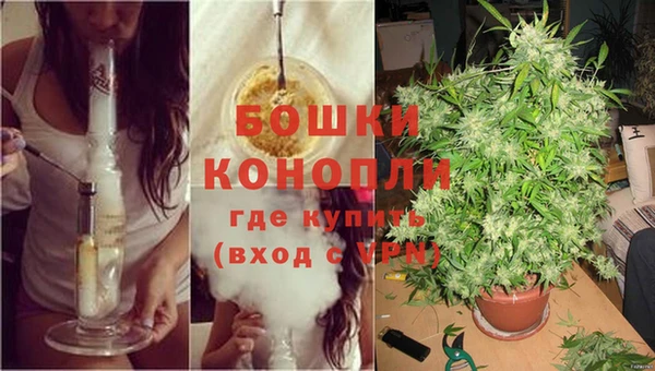дживик Козловка