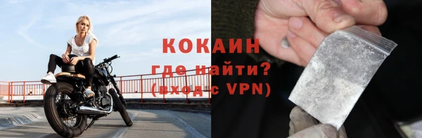 сатива Козельск