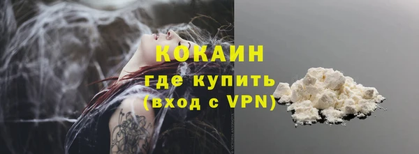 сатива Козельск