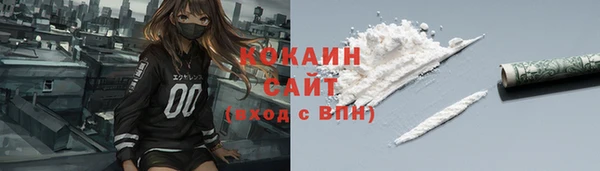 сатива Козельск