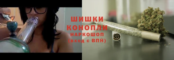 дживик Козловка