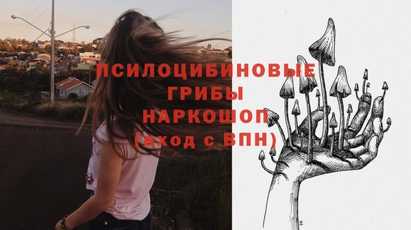 сатива Козельск