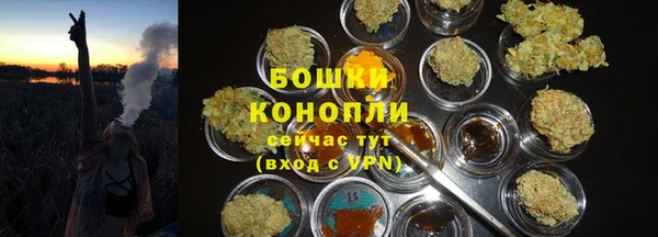 сатива Козельск