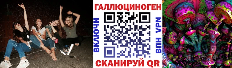 Купить  Буйнакск  Псилоцибиновые грибы прущие грибы 