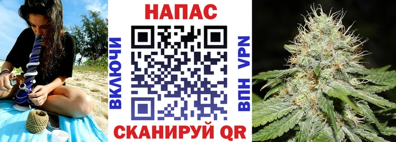 Бошки Шишки MAZAR  Купить закладки  Буйнакск 