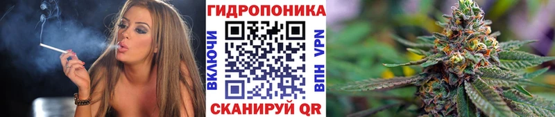 Канабис семена Буйнакск